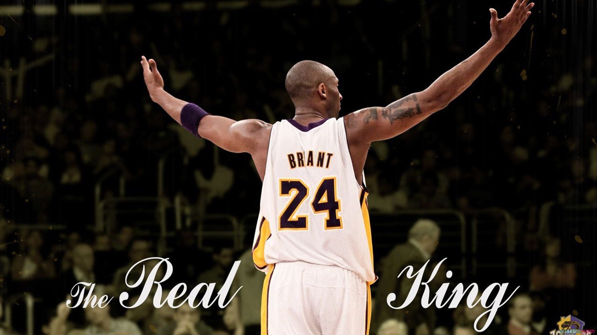 东决关键战之夜,厄德高稳定输出不掉线,掌控节奏的隐形引擎