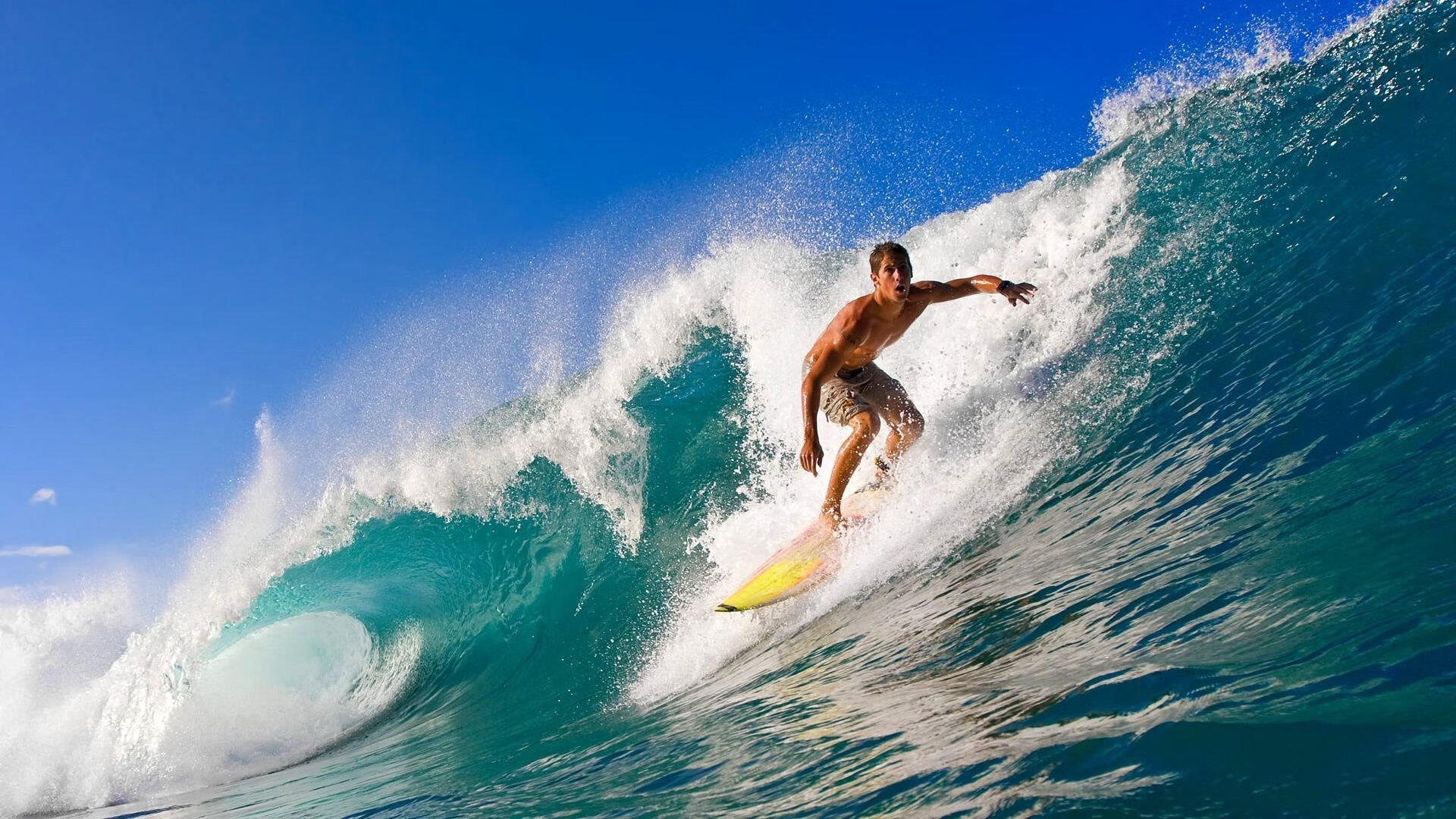 从美网鏖战到年终加冕，兹维列夫的统治力进化论