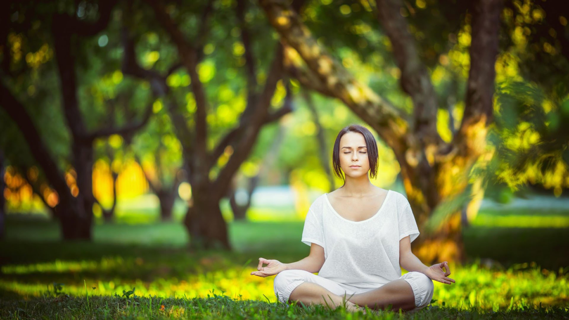 逆转之夜,胜负之外,当深圳队的韧性遇上杜兰特的永恒火焰